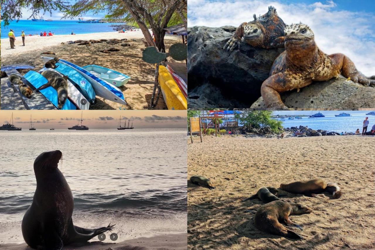 Blue Horizon - Galapagos Home Пуэрто-Бакерисо-Морено Экстерьер фото